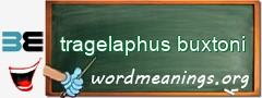 WordMeaning blackboard for tragelaphus buxtoni
